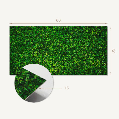 Square wall panel A dense wall of leaves