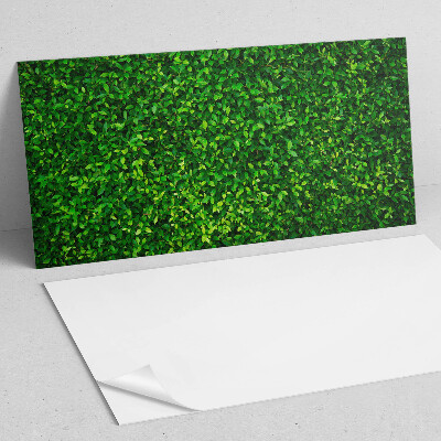 Square wall panel A dense wall of leaves