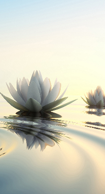 Roller blind Water lilies