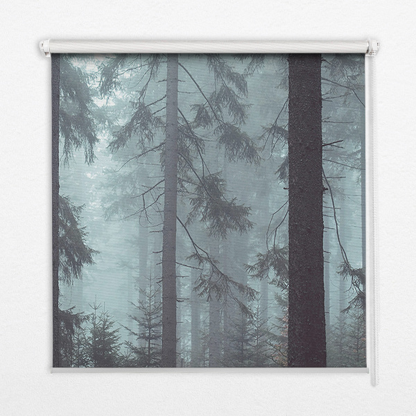 Roller blind for window Forest at night