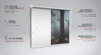Roller blind for window Forest at night