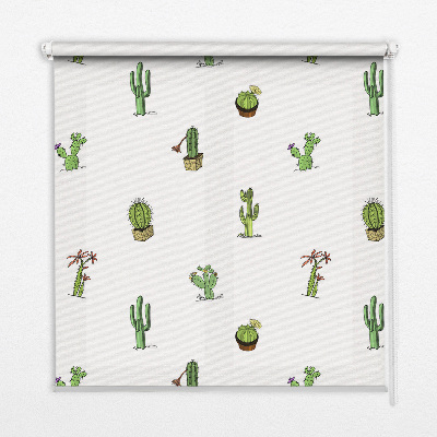 Daylight roller blind Cacti