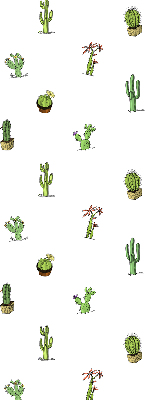 Daylight roller blind Cacti