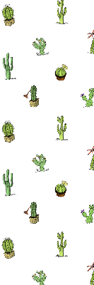 Daylight roller blind Cacti