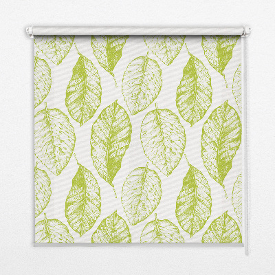 Kitchen roller blind Lime leaves