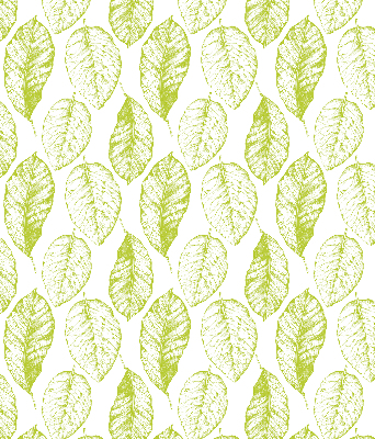 Kitchen roller blind Lime leaves