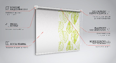 Kitchen roller blind Lime leaves