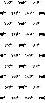 Daylight roller blind Draws dogs