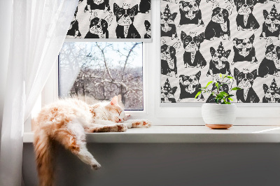 Window blind Draws dogs