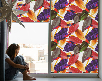 Daylight roller blind Colorful leaves