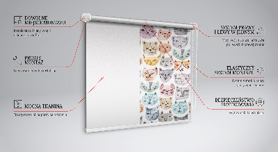 Daylight roller blind Colorful faces of cats