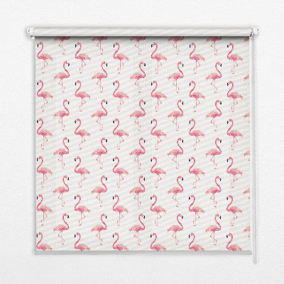 Window blind Flamingos