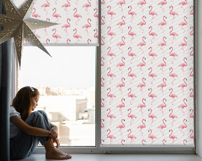 Window blind Flamingos