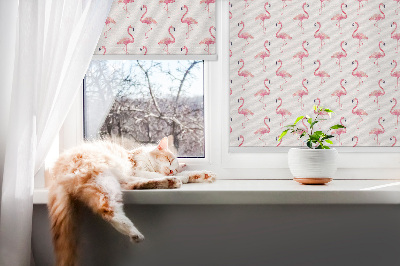 Window blind Flamingos