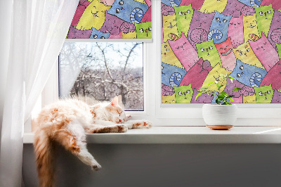Blind for window Colorful cats