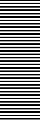 Blind for window Black stripes