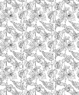 Window blind Sketched flowers