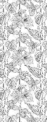 Window blind Sketched flowers