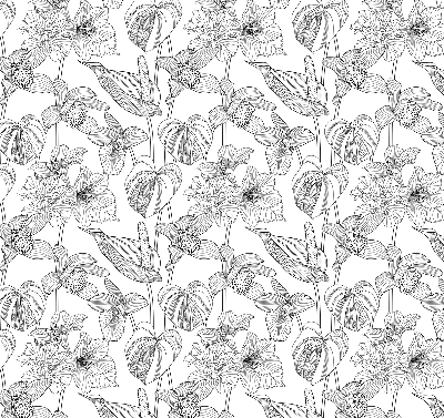 Window blind Sketched flowers