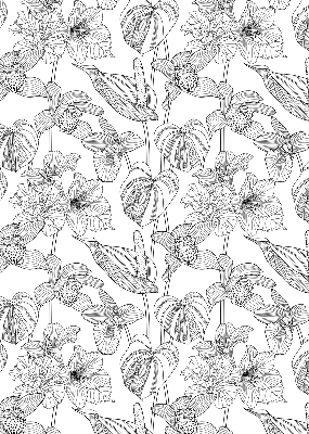 Window blind Sketched flowers