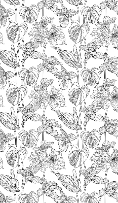 Window blind Sketched flowers