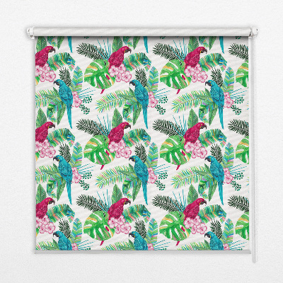 Kitchen roller blind Parrot