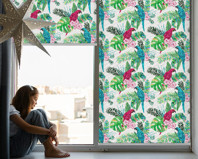 Kitchen roller blind Parrot