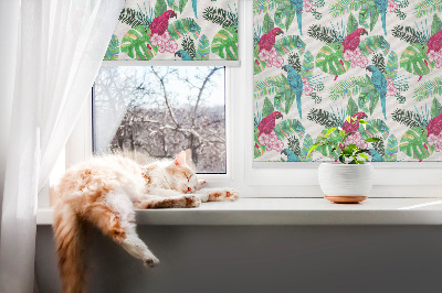 Kitchen roller blind Parrot