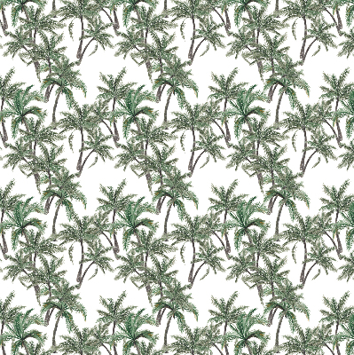 Kitchen roller blind Palm trees