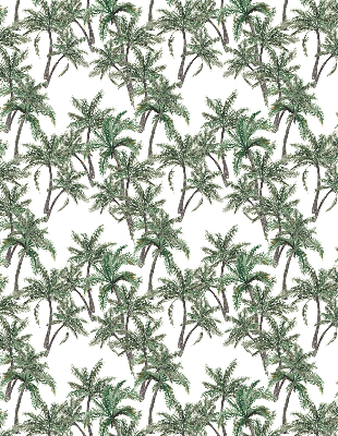 Kitchen roller blind Palm trees