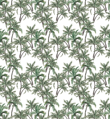 Kitchen roller blind Palm trees