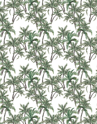 Kitchen roller blind Palm trees