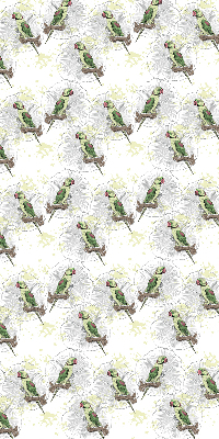 Daylight roller blind Parrots on a branch