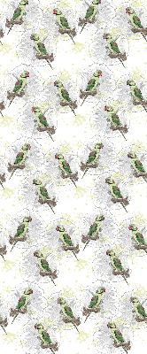 Daylight roller blind Parrots on a branch