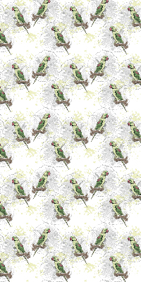 Daylight roller blind Parrots on a branch