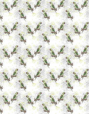 Daylight roller blind Parrots on a branch