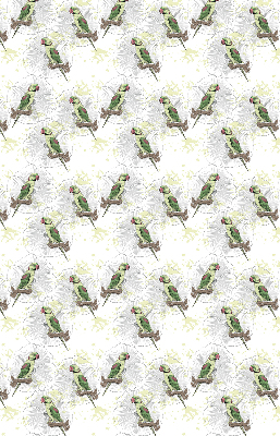 Daylight roller blind Parrots on a branch