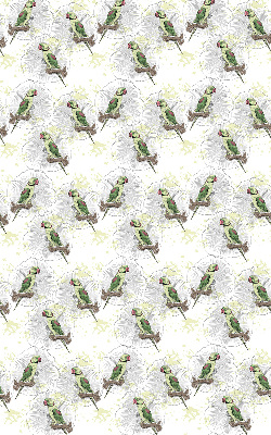 Daylight roller blind Parrots on a branch