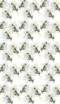 Daylight roller blind Parrots on a branch