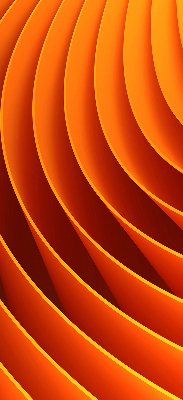 Daylight roller blind Orange abstraction