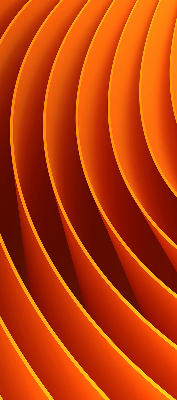 Daylight roller blind Orange abstraction