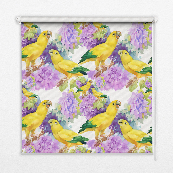 Daylight roller blind Yellow parrots