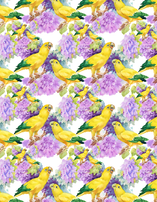 Daylight roller blind Yellow parrots