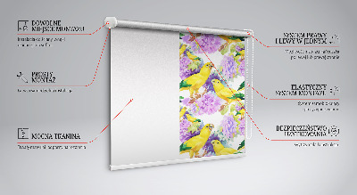 Daylight roller blind Yellow parrots