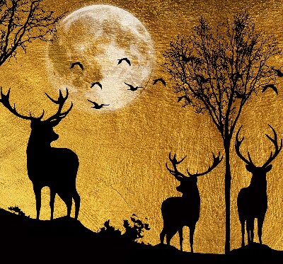 Roller blind Deer at night