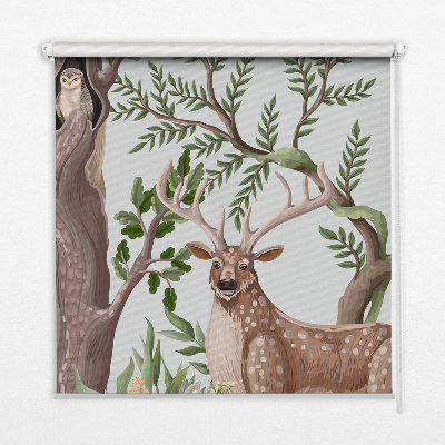 Window blind Wild animals