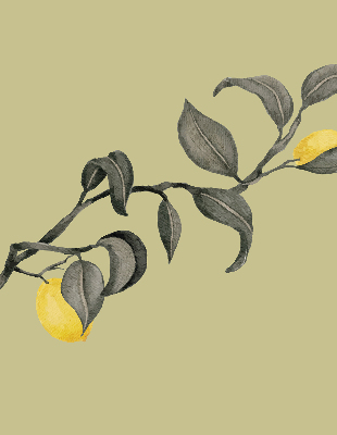 Roller blind Lemons on a tree