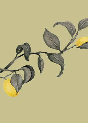 Roller blind Lemons on a tree