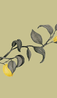 Roller blind Lemons on a tree