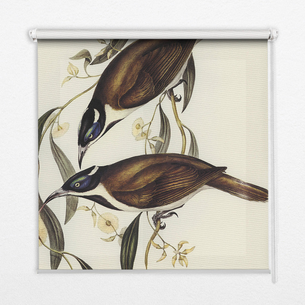 Window blind Birds on a tree